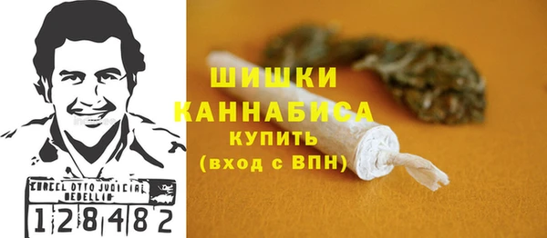 дмт Снежногорск