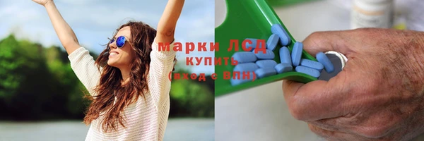 ПСИЛОЦИБИНОВЫЕ ГРИБЫ Белоозёрский