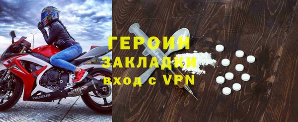 сатива Беломорск