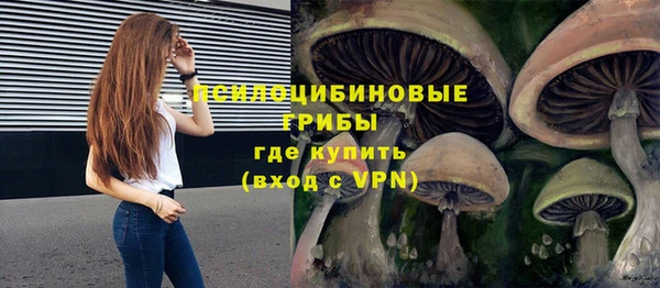 ПСИЛОЦИБИНОВЫЕ ГРИБЫ Белоозёрский