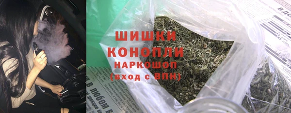 сатива Беломорск