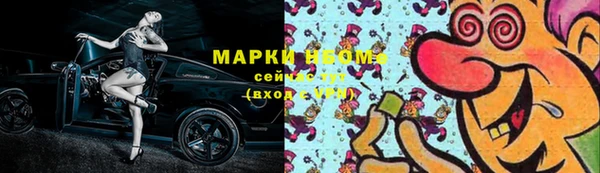 сатива Беломорск