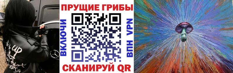 Галлюциногенные грибы MAGIC MUSHROOMS  Нововоронеж 